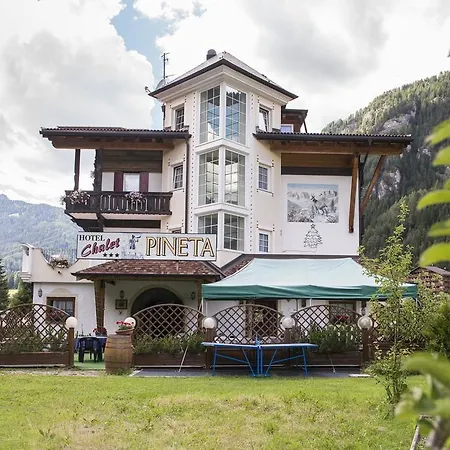 Hotel Pineta Relax Location 3*