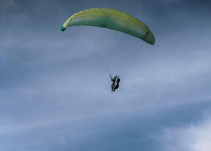 ホテル Pineta Relax Location 3*