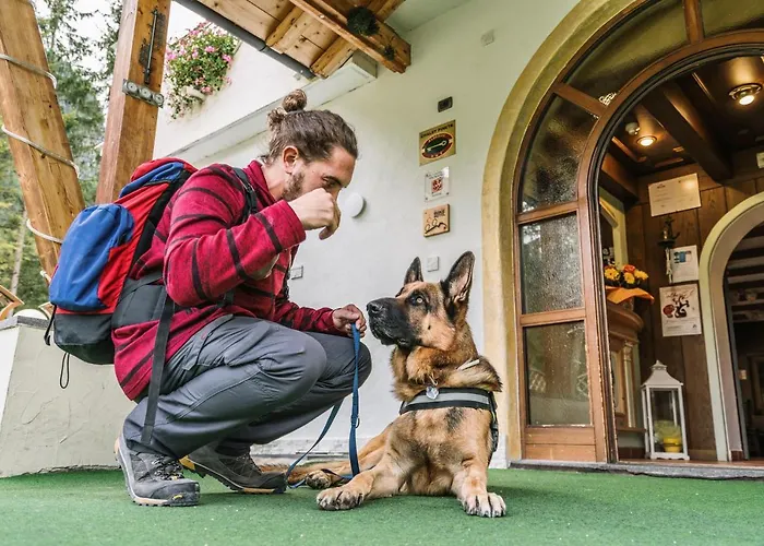 Pineta Relax Location